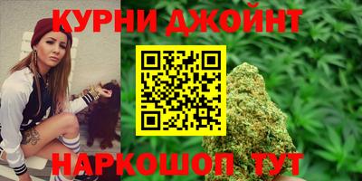 гашик Балашиха