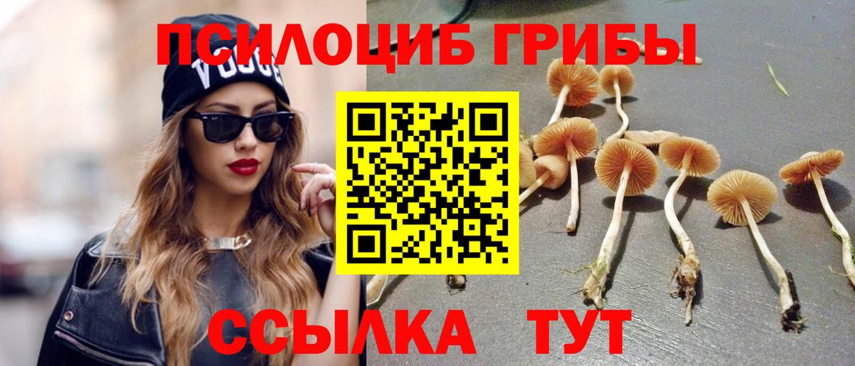 Галлюциногенные грибы GOLDEN TEACHER  Вход с VPN  закладки  Псилоцибиновые грибы мицелий  Гусев 